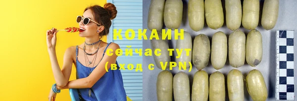 PSILOCYBIN Инта