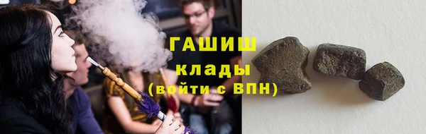 PSILOCYBIN Инта