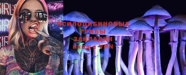 PSILOCYBIN Инта