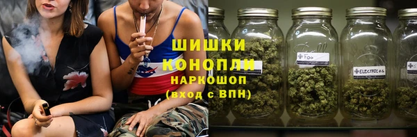 PSILOCYBIN Инта