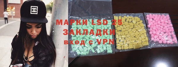 PSILOCYBIN Инта