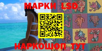 гашик Нальчик