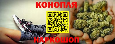 гашик Нальчик