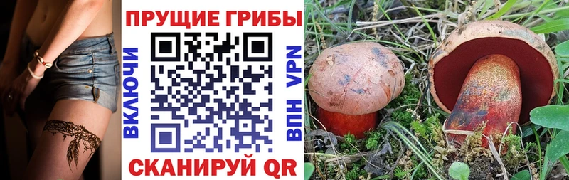 наркотики  Чита  Галлюциногенные грибы Magic Shrooms 