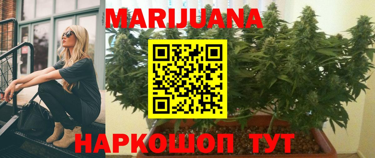 Канабис семена Чита